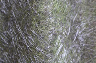 Bickton fibreglass roof work